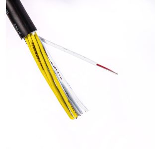 CAMCA12-FT main image