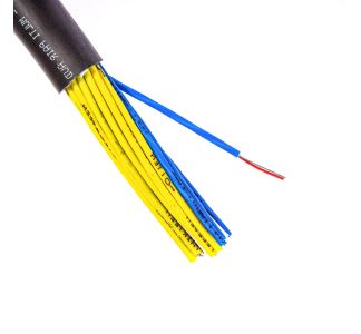 CAMCA24-FT main image